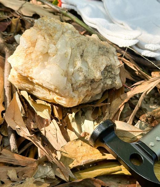 （黄埔）山野徒步挖水晶1日独立营 商品图4