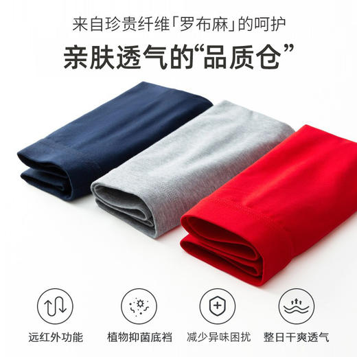 爆款🔥🔥🔥【戈宝红麻】GAUBAU罗布麻内裤 保健内裤男 高档平角抗菌内裤 透气宽松四角裤 商品图1