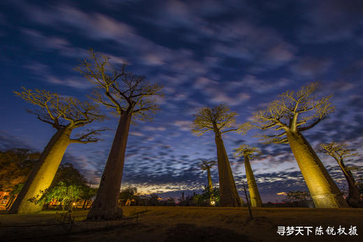 非洲·马达加斯加 12 天摄影创作之旅 商品图3