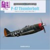 预售 【中商原版】P 47 雷电 战斗机 英文原版 P 47 Thunderbolt Republics Mighty Jug in World War II David Doyle 商品缩略图0