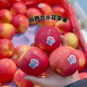 小花苹果(约2斤5个装)
