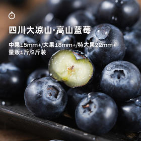企鹅市集|四川大凉山 高山玫瑰香蓝莓 多规格可选 颗颗饱满香甜 新鲜水果