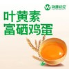 【谷物鲜蛋】物源初见 叶黄素富硒鸡蛋 30枚/箱 可生食鲜鸡蛋（早餐好物） 商品缩略图2