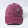 F031016刺绣款男女同款纯棉怀旧软顶时尚百搭清爽舒适可水洗棒球帽 商品缩略图14
