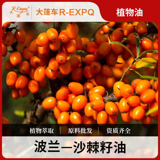 沙棘籽油Seabuckthorn植物萃取原料批发芳疗护理大篷车精油 商品图0