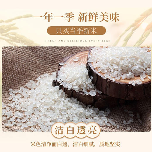 金龙鱼黑土珍稻香米5KG 商品图3