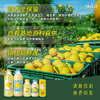 柚香谷宋柚汁双柚汁复合果汁饮料300g*10瓶 鲜果萃取富含VC 0脂节日整箱 /水饮冲调 /饮料 /果蔬汁/饮料 商品缩略图4
