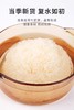 【SF】 银耳  大朵无硫 正宗干货 商品缩略图2