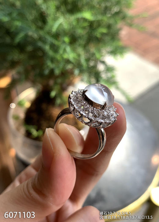 6071103，蛋面戒指。具体价格微信操作 商品图3