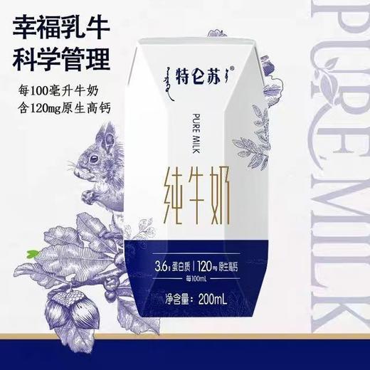 特仑苏纯牛奶  200ml*10盒/箱  醇正营养 限定产地 商品图4