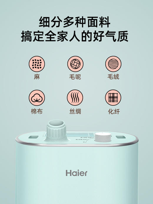 海尔双杆挂烫机家用挂立手持式平板熨烫机蒸汽小型熨斗衣服服装店2002A 商品图3