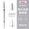 派通彩色双头柔绘笔SESW30C-T126 商品缩略图0