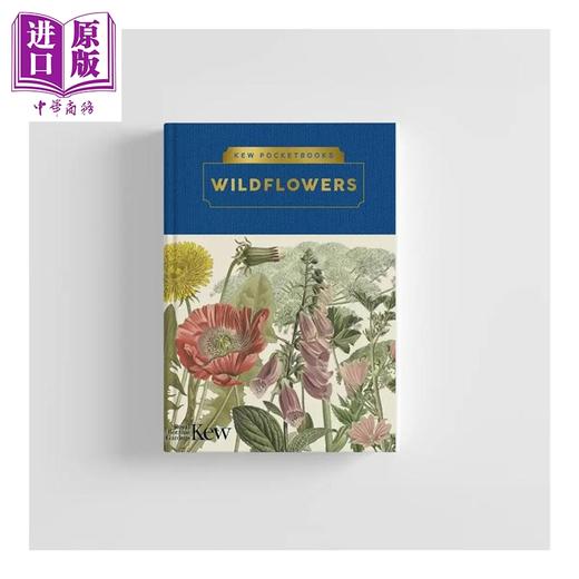预售 【中商原版】野花 英国皇家植物园口袋书系 Kew Pocketbooks Wildflowers 英文原版 Ed Ikin Royal Botanic Gardens 邱园自然百科 商品图1
