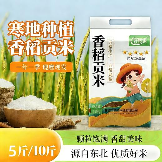 【五常生态香米，新米5斤、10斤装】东北五常大米、产地直发、真空包装 商品图1