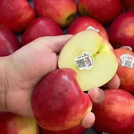 小花苹果(约2斤5个装) 商品图1