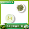 2026年新茶黄红缨瓮安白茶官方店明前特级茶250g送礼盒装绿茶叶 商品缩略图4