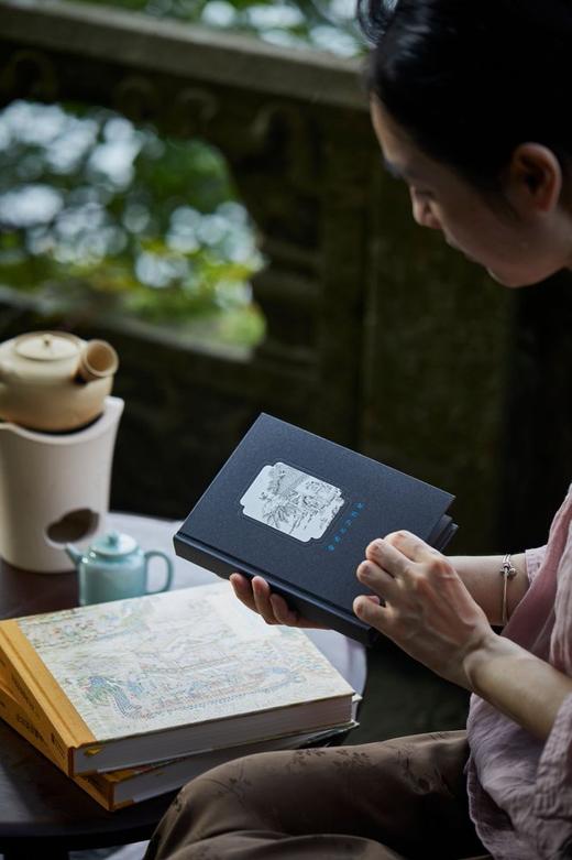 大促：《传世彩绘名著》工笔彩绘版系列 商品图10