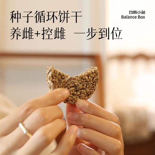 均衡小站 28天定量种子循环饼干 植物种子南瓜籽亚麻籽葵花籽白芝麻 便携小袋装 商品图1