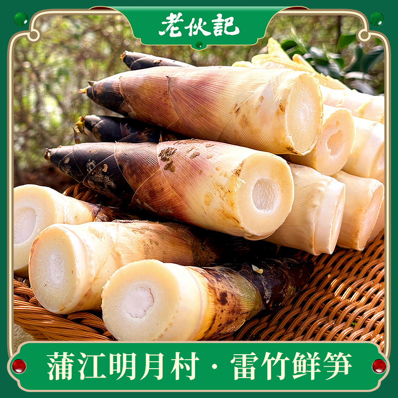 春季限定【雷竹鲜笋5斤装】老伙记细叶乌头雷竹笋5斤装 2026新鲜春笋 四川蒲江明月雷竹春笋 现挖嫩芽笋 鲜嫩去老根 冰袋保温箱发货