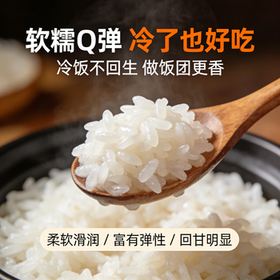 崇明大米2026当月新米香稻米大米10斤/5kg岛内直供弹软香珍珠米粳米含胚芽 /粮油调味 /米 /珍珠米