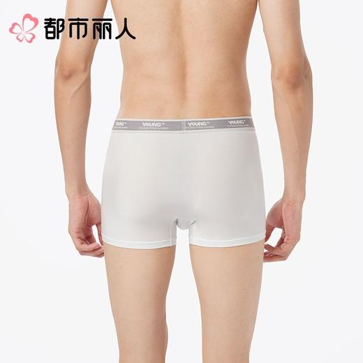 都市丽人内裤男士内裤冰丝内裤锦纶平角内裤明筋内裤FKCG02 商品图2