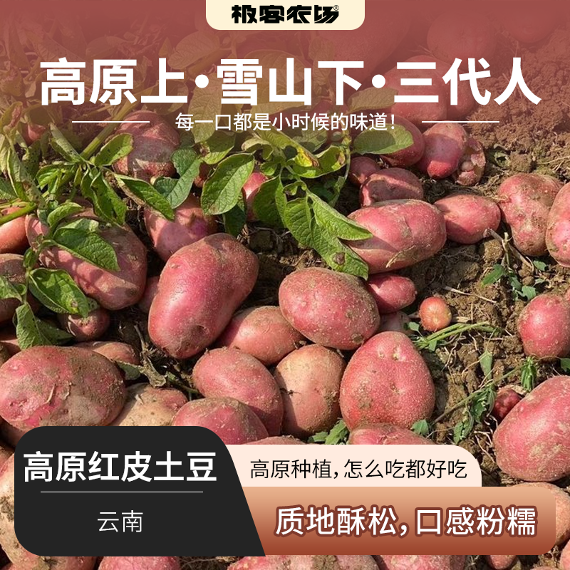 【老友回馈❗️】高原红皮土豆丨高原种植，口感粉糯，每一口都是小时候的味道。中通快递