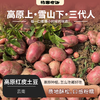 【老友回馈❗️】高原红皮土豆丨高原种植，口感粉糯，每一口都是小时候的味道。中通快递 商品缩略图0