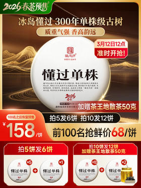 最后4饼！2026年春茶【懂过单株】古树茶，临沧茶区懂过核心茶地纯料古树茶357克普洱生茶