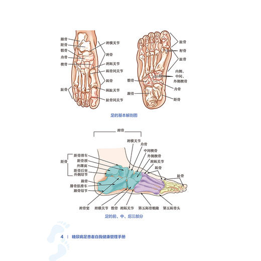 糖尿病足患者自我健康管理手册 邓武权 陈秋 主编 内容包括糖尿病足相关的基础知识、饮食、运动、病情监测方式等 人民卫生出版社 商品图4