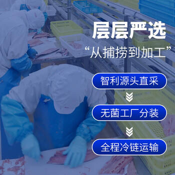 鲜京采智利大西洋鲑鱼三文鱼段 净重2斤 生鲜鱼类京东自有品牌 /生鲜 /海鲜水产 /鱼类 商品图3