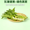 [东滩绿港]绿色莴苣实惠装 商品缩略图0