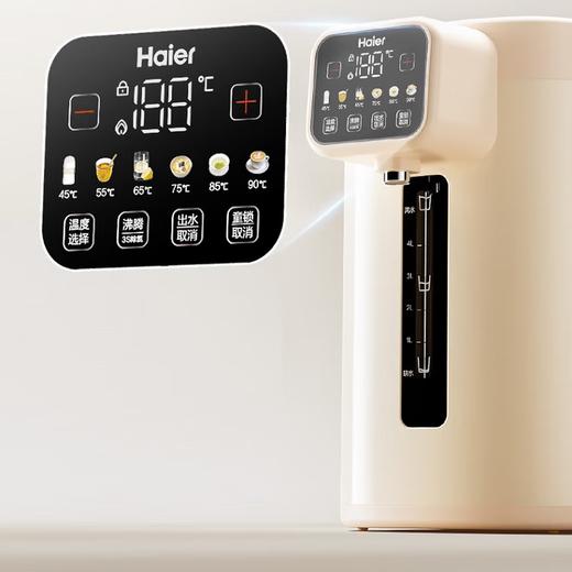 海尔（Haier）【小红花套系】 电热水瓶 家用智能316电热水壶烧水壶除氯6段温度控温冲奶器5LHSP-D25W 商品图2
