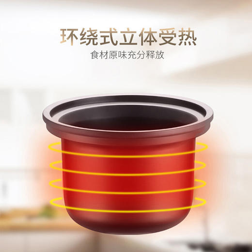苏泊尔电炖锅紫陶4L DG40YK6-30 商品图1