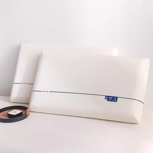 富友人家  记忆棉枕芯 商品图1