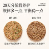 均衡小站 28天定量种子循环饼干 植物种子南瓜籽亚麻籽葵花籽白芝麻 便携小袋装 商品缩略图3