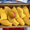 海南树熟一级贵妃芒果礼盒顺丰包邮*2.5kg 商品缩略图6