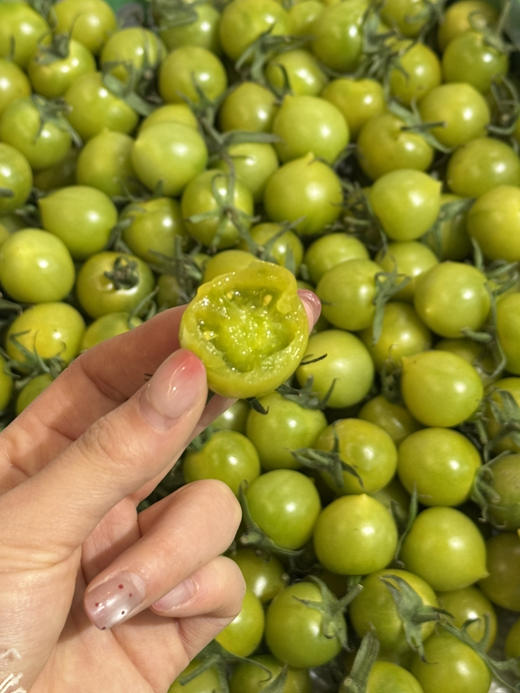 釜山绿千禧番茄（散称39.8/2斤称重补差） 商品图2