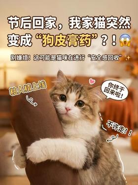 节后回家猫直接开启“狗皮膏药”？真相太扎心了
