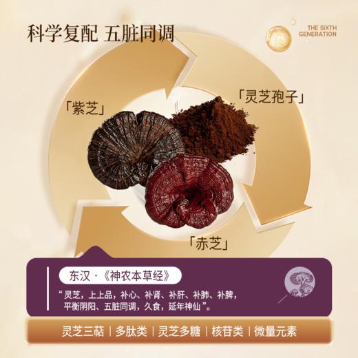 双灵芝精华 元气捕手 甑选原浆双灵芝精华 商品图3