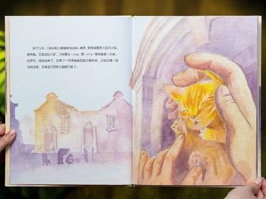 《语文课精选经典绘本》(全20册)，爆销10万册，获得无数一致好评。适龄：3-9岁 商品图6