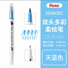 派通彩色双头柔绘笔SESW30C-T110 商品缩略图0