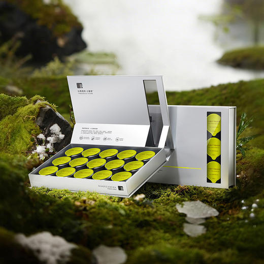 【2026春茶】小罐茶·银罐系列·早春特级龙井茶15罐装【现货】 商品图9