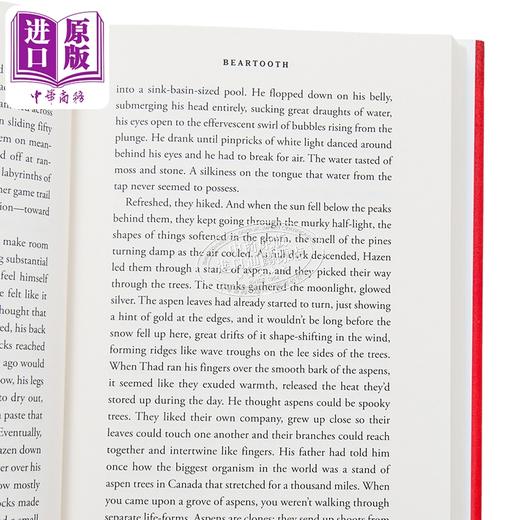【中商原版】熊牙 犯罪小说 Beartooth 英文原版 Callan Wink 惊悚流行小说 商品图2