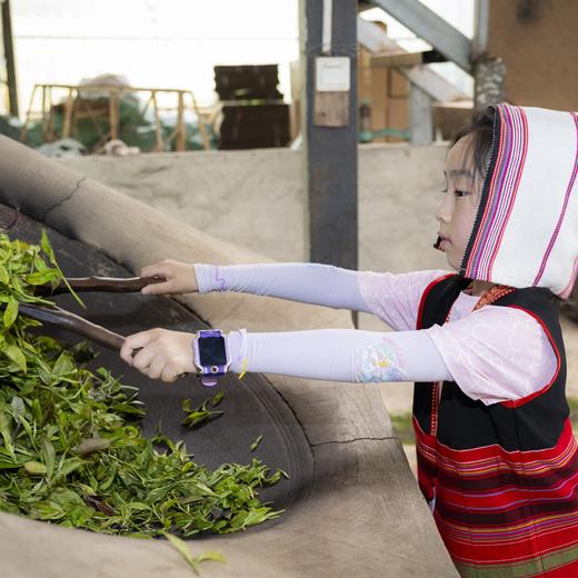 【暑假】何以版纳，当自然王国开始说话【树语】6天5晚 商品图11