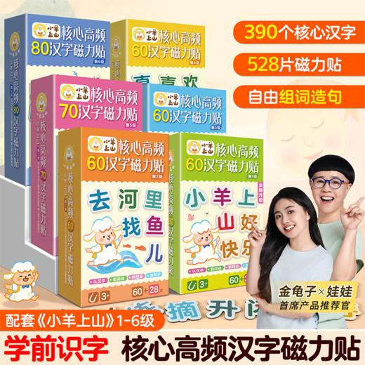 小羊上山1-6级高频汉字磁力贴识字冰箱贴造句组词语儿童益智玩具 商品图0