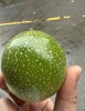新品种百香果，超软籽！鲜甜可口，芳香四溢，Vc爆棚，美白抗流感利器。 商品缩略图6