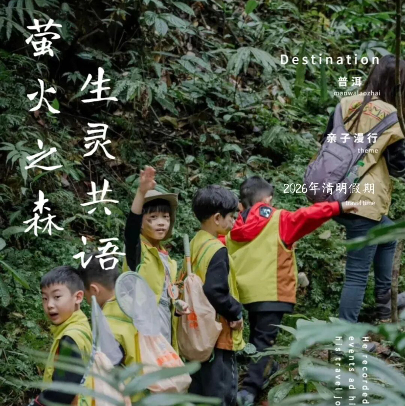 清明亲子｜4.4-4.6普洱3天2晚，从茶山云雾到雨林萤火，走进北回归线上的共生秘境，把自然写成孩子的成长诗！