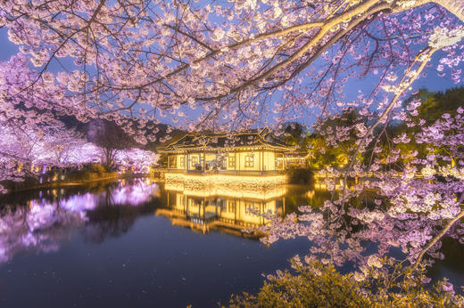 【清明】<华东南京+常州+无锡+苏州+杭州+上海双飞5日>中山陵、鼋头渚、飞来峰、周庄、乌镇、西湖、狮子林 商品图0