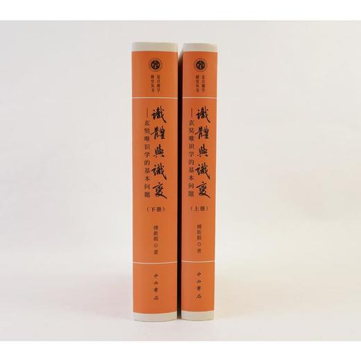 全2册 识体与识变——玄奘唯识学的基本问题 商品图3