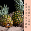 云南版纳香水大凤梨香味浓郁酸甜多汁云南特产水润细腻肉质脆嫩 商品缩略图0